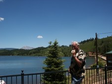 Enlarge photo 183