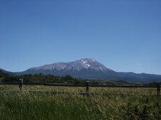 Enlarge photo 186