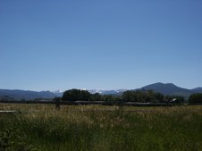 Enlarge photo 187