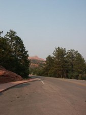 Enlarge photo 196