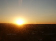 Enlarge photo 220