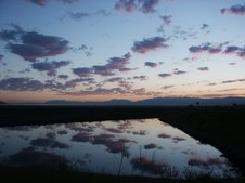 Enlarge photo 251