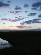 Enlarge photo 252