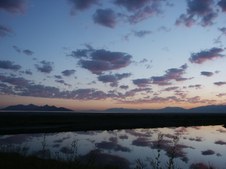 Enlarge photo 253