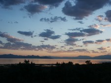 Enlarge photo 255