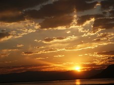 Enlarge photo 259