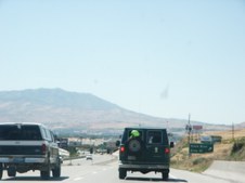Enlarge photo 261