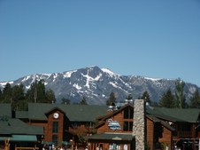 Enlarge photo 262