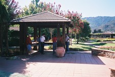 Enlarge photo 72