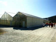 Enlarge photo 41