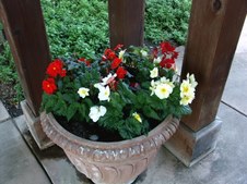 Enlarge photo 48
