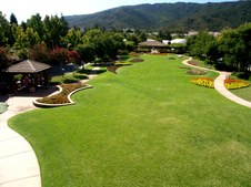 Enlarge photo 52