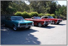 Enlarge photo 73
