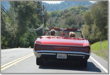 Enlarge photo 78