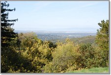 Enlarge photo 98