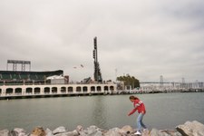 Enlarge photo 77