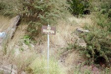 Enlarge photo 203