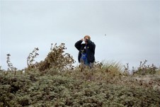 Enlarge photo 223