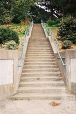 Enlarge photo 166