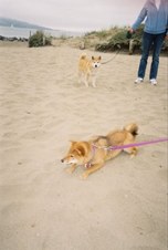 Enlarge photo 149
