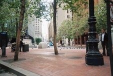 Enlarge photo 159