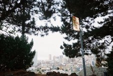 Enlarge photo 168