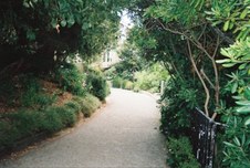 Enlarge photo 169