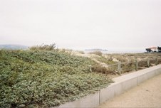 Enlarge photo 170