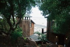Enlarge photo 172