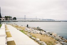 Enlarge photo 147