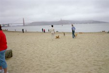 Enlarge photo 193