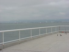 Enlarge photo 45