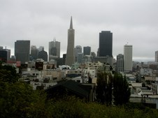 Enlarge photo 135