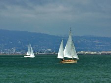 Enlarge photo 146