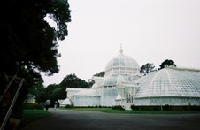 Enlarge photo 99