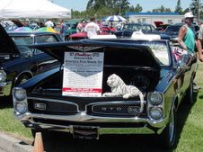 Enlarge photo 74