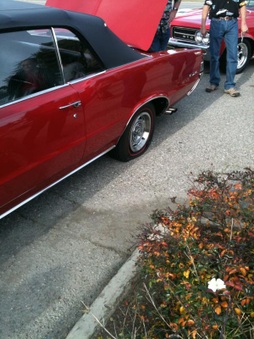 Enlarge photo 30