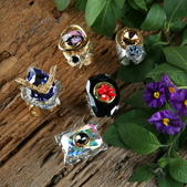 Enlarge photo 112