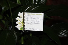Enlarge photo 18