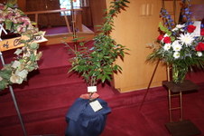 Enlarge photo 18