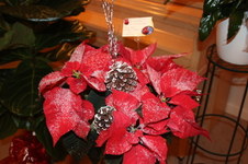 Enlarge photo 13