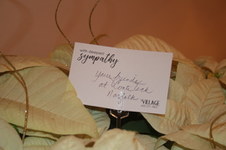 Enlarge photo 18