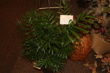Enlarge photo 17