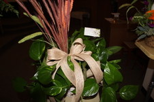 Enlarge photo 16