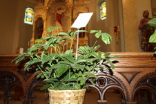 Enlarge photo 15