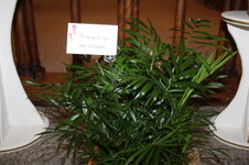Enlarge photo 17