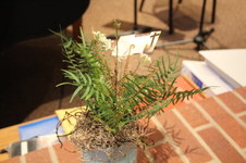 Enlarge photo 19