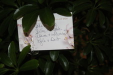Enlarge photo 19