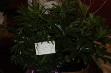 Enlarge photo 20
