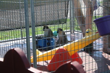 Enlarge photo 8